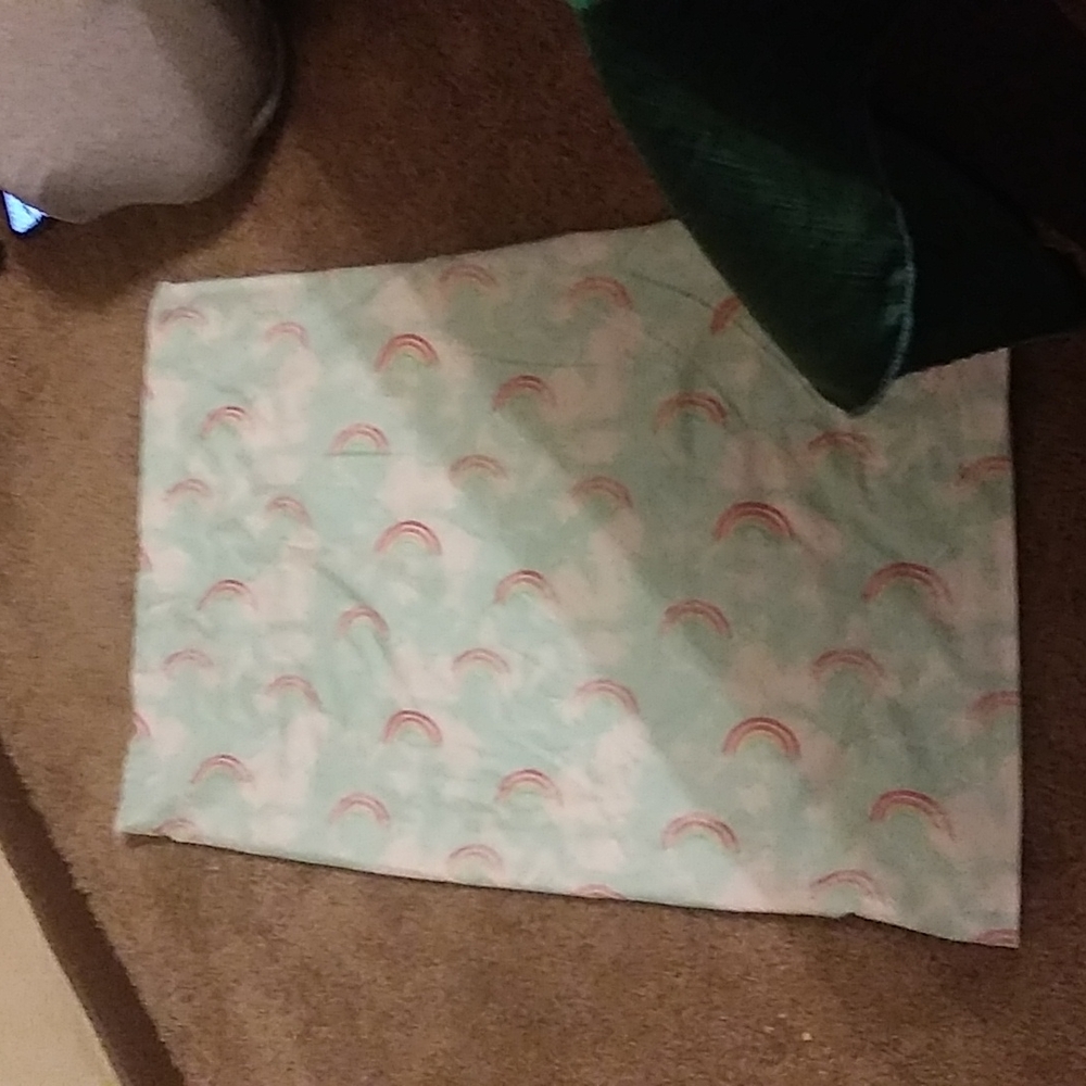 Pillow case never been used